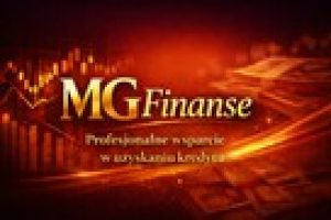 financial consultation