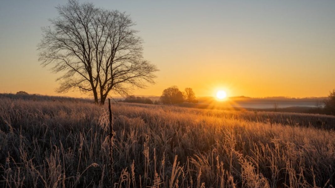 frosty meadow sunrise