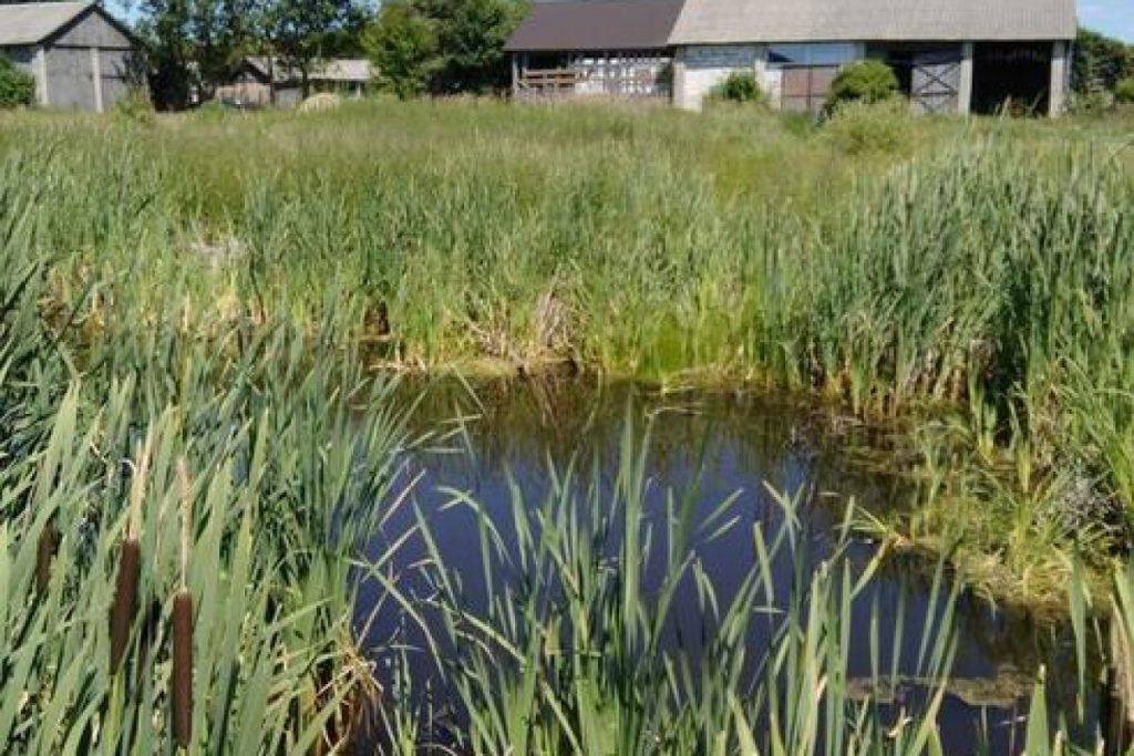 country house stable