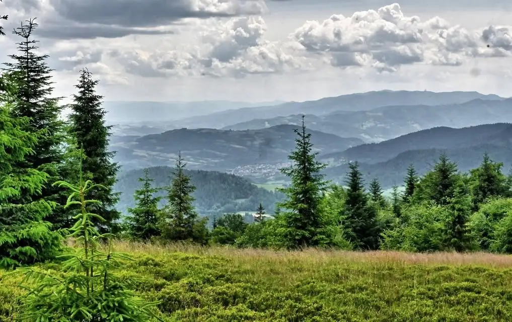 Wędrówka na Kiczory Kamienicką – Odkryj Beskid Wyspowy z Gminą Szczawa