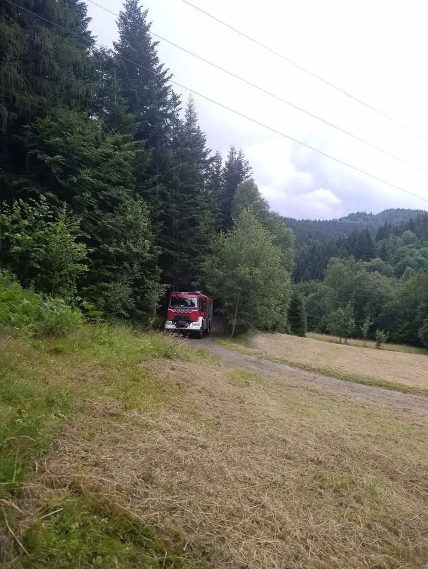 Powalone drzewo uszkodziło linie energetyczne w Szczawie